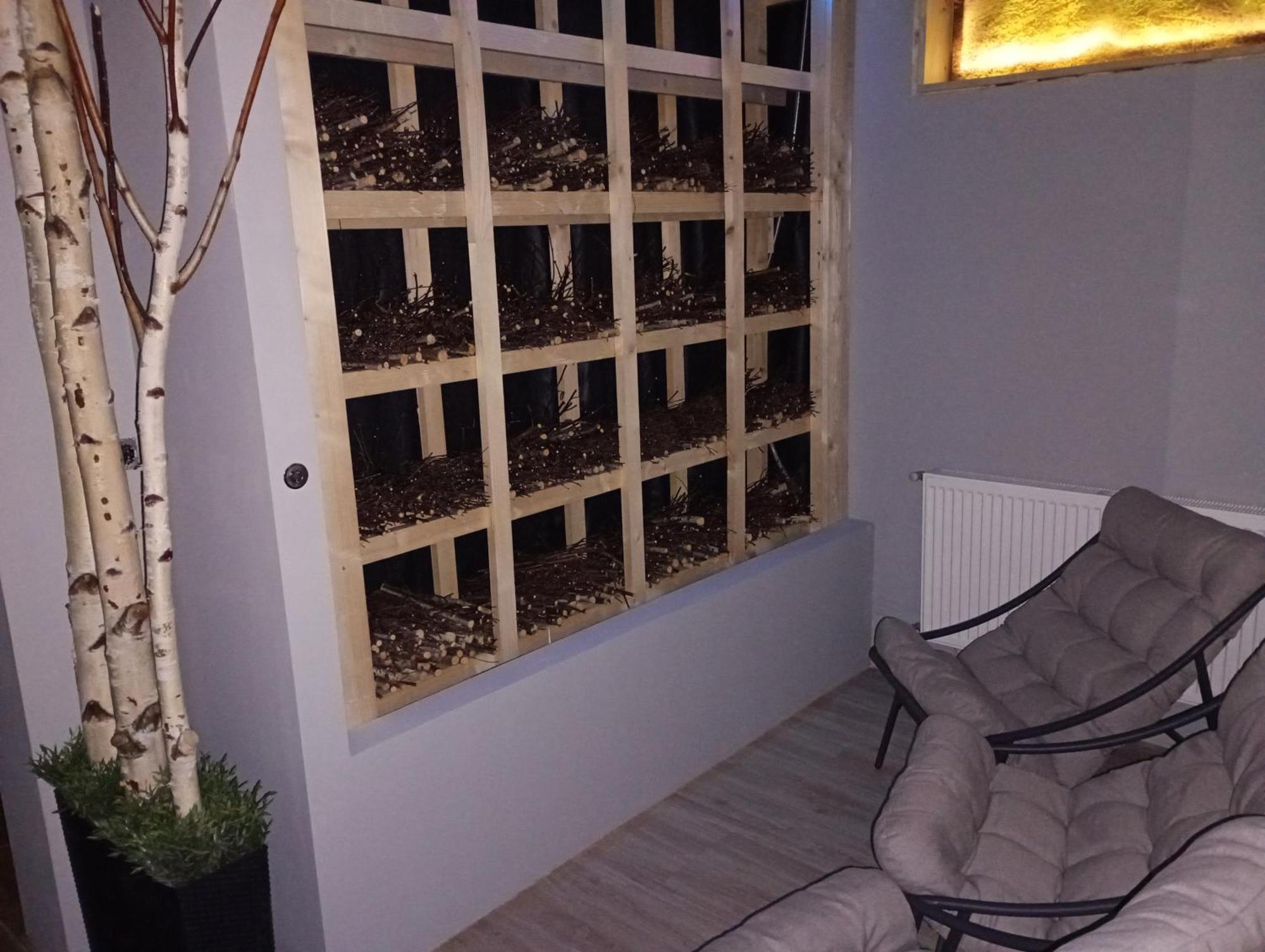 Good Night Noclegi & Strefa Z Sauna I Jacuzzi Ogolnodostepna Lub Na Wylacznosc Czechowice-Dziedzice Exteriör bild